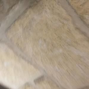 Meet your Posher, Albert